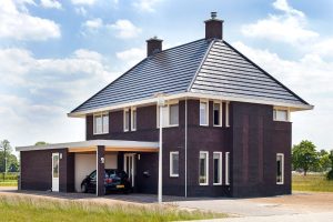 Zonnebeek variant 10